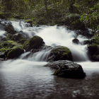 Tranquil forest waterfall with moss-covered rocks