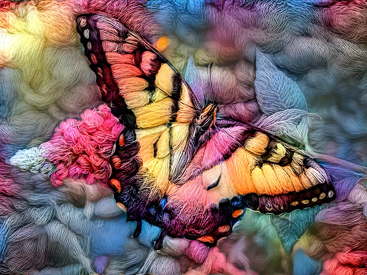 woolly butterfly