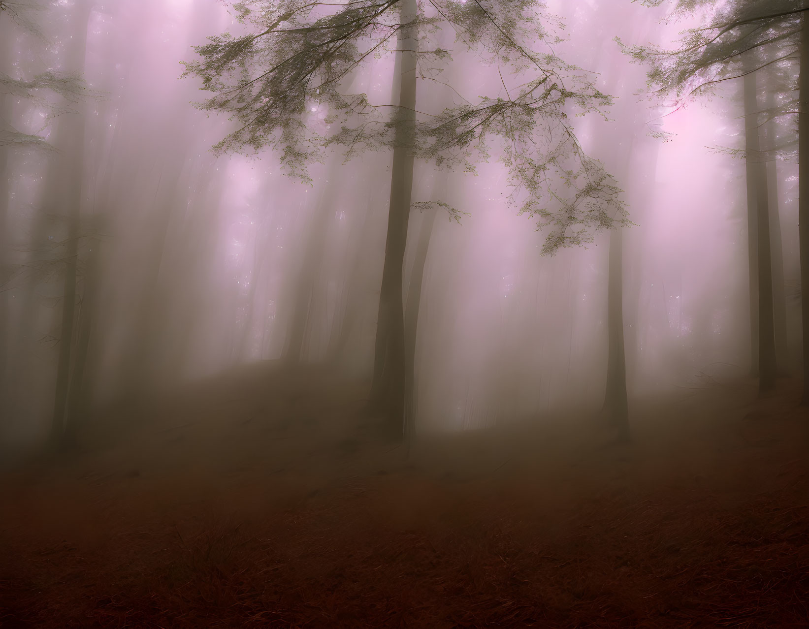 Ethereal pink fog in misty forest with silhouetted trees.