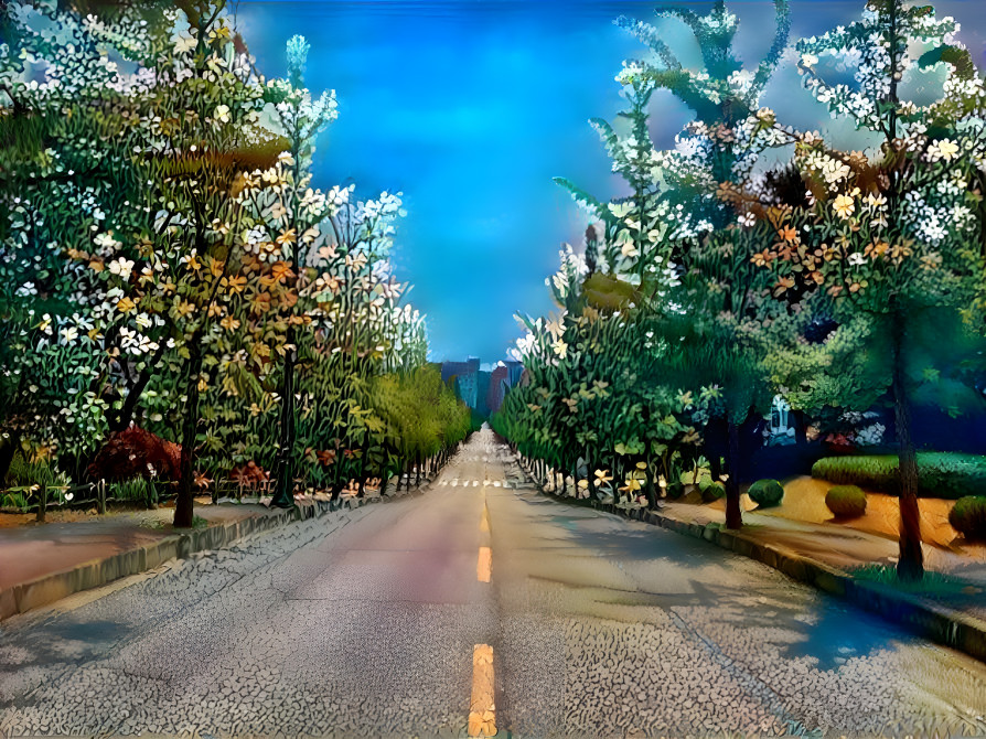 Road & trees