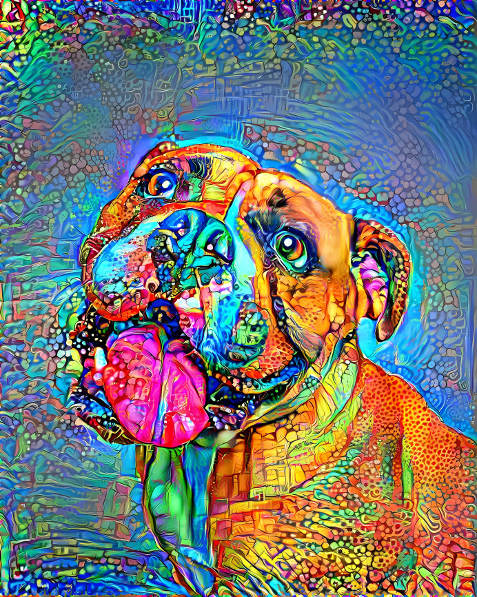 Trippy Dog