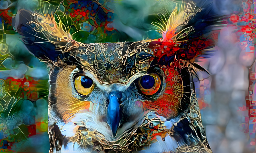 Art Of The Owls