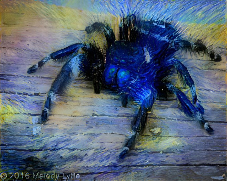 Starry Spider Night