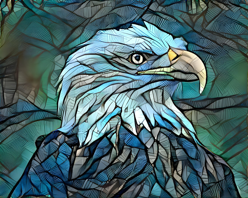 Bald Eagle 