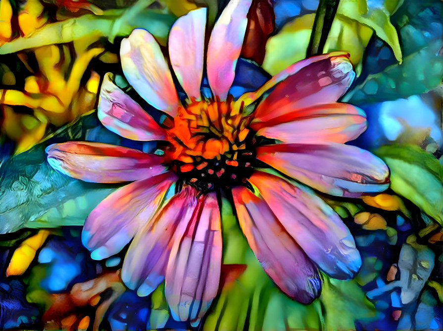 Stained Glass Coneflower (Floral #18)