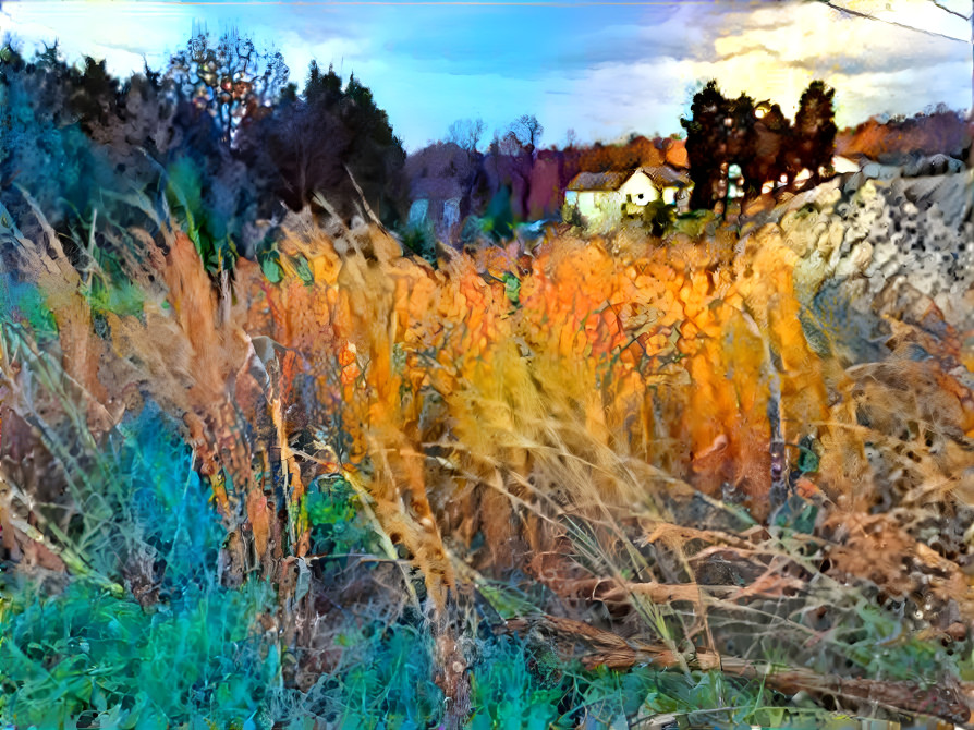 Tall Grasses