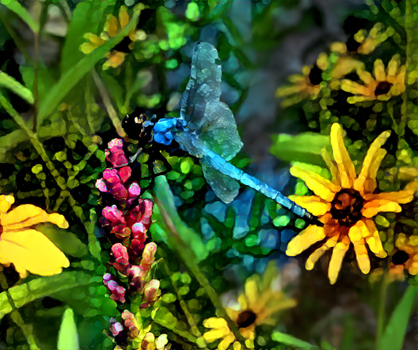 Dragonfly on a Blazing Star (Liatris)