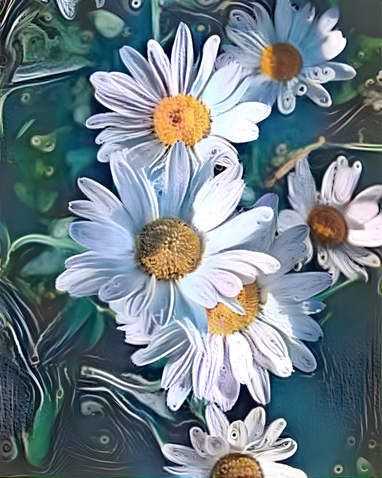 Daisies