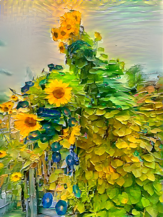 Sunflowers