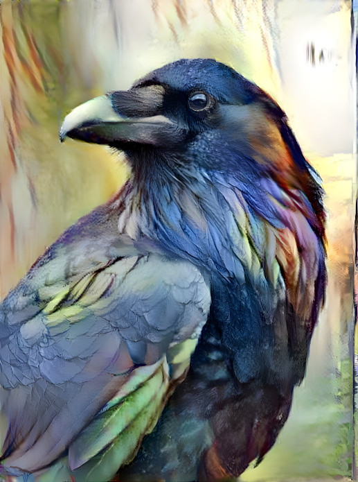 Raven