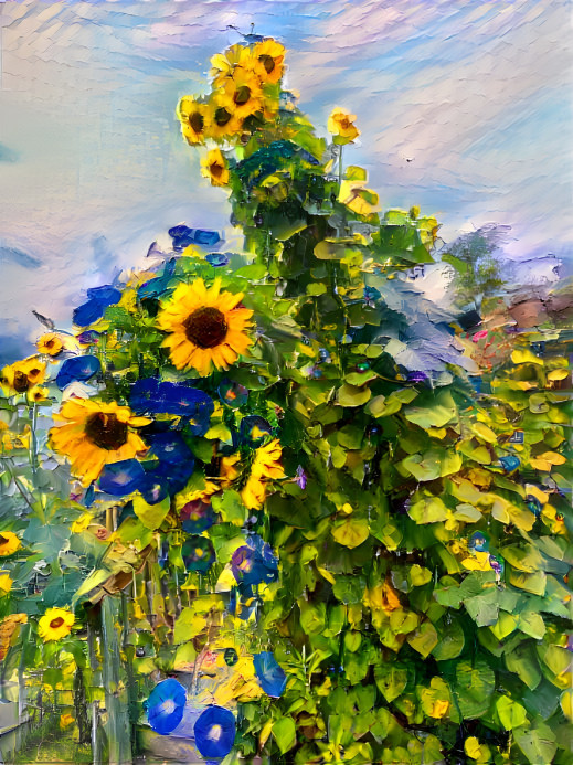 Sunflowers 