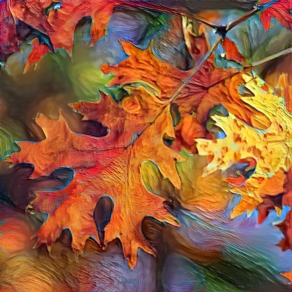 Autumn leaves 