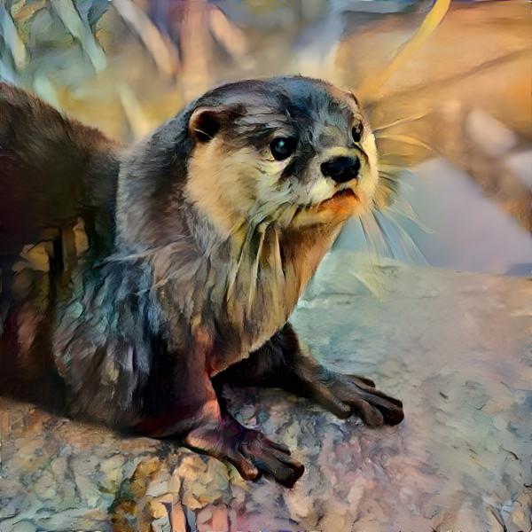 Otter