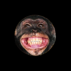 Monkey Holding Glowing Heart Shape in Darkness