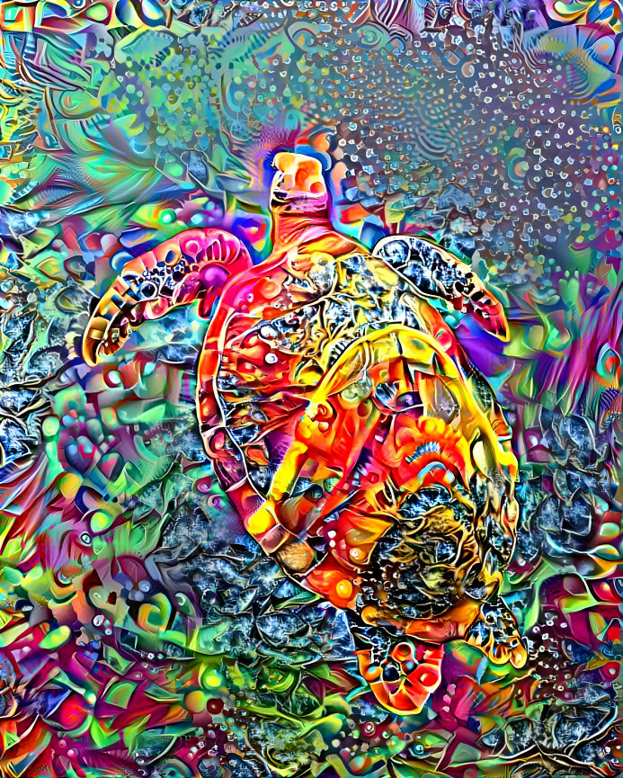 Cosmic turtle