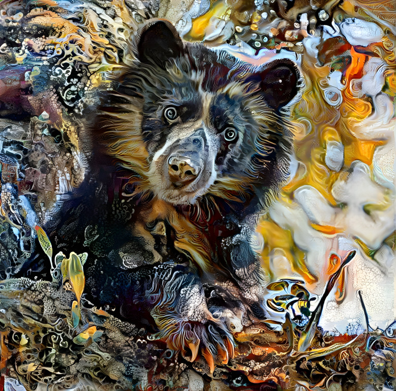 ~ Spectacled Bear ~