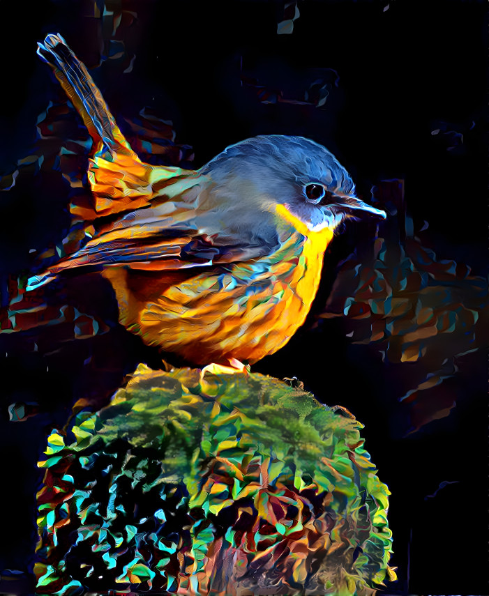 ~ Eastern Yellow Robin ~