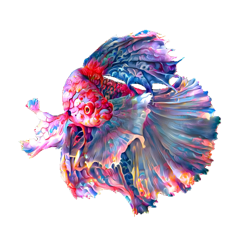 ~ Siamese Fighting Fish ~