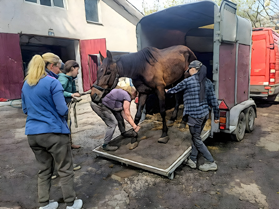 Left in Ukraine, saved by Breaking The Chains