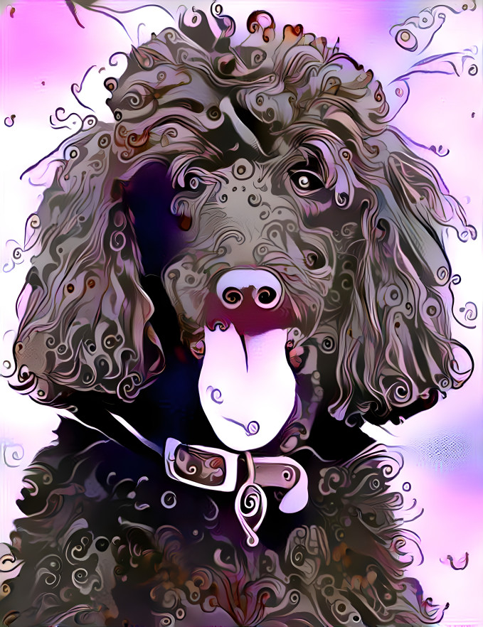 ~ Puppy Love, Poodle ~