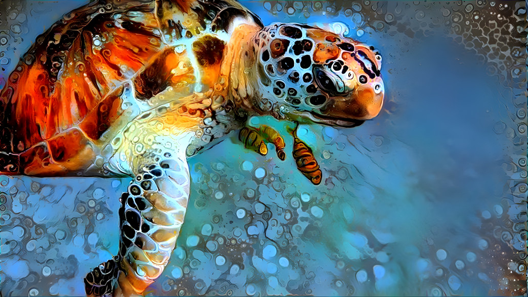 ~ Oceana, Sea Turtle ~