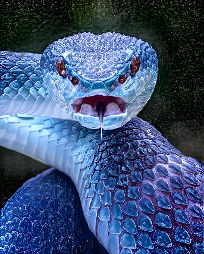 ~ Blue Viper ~