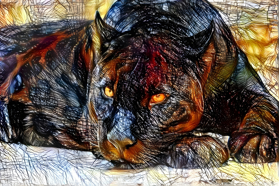 ~ Panther, Untitled ~