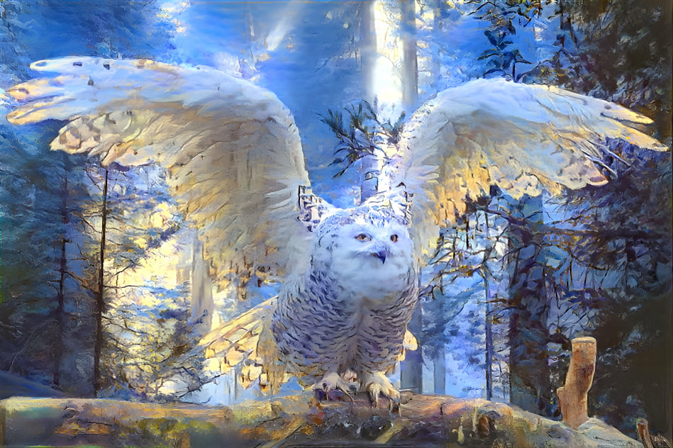 ~ Snowy Owl ~