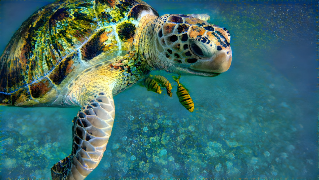 ~ Sea Turtle ~