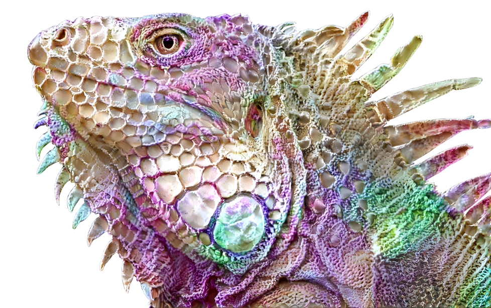  ~ Lace Iguana ~