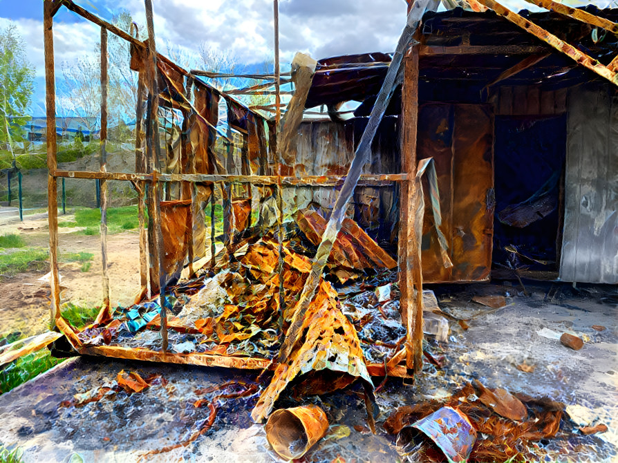 Shelled Animal Shelter, Ukraine