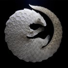 Intricate 3D-rendered ouroboros serpent with ornate textures in circle on