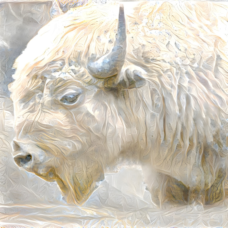 ~ White Bison ~