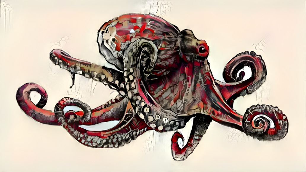 Octopus