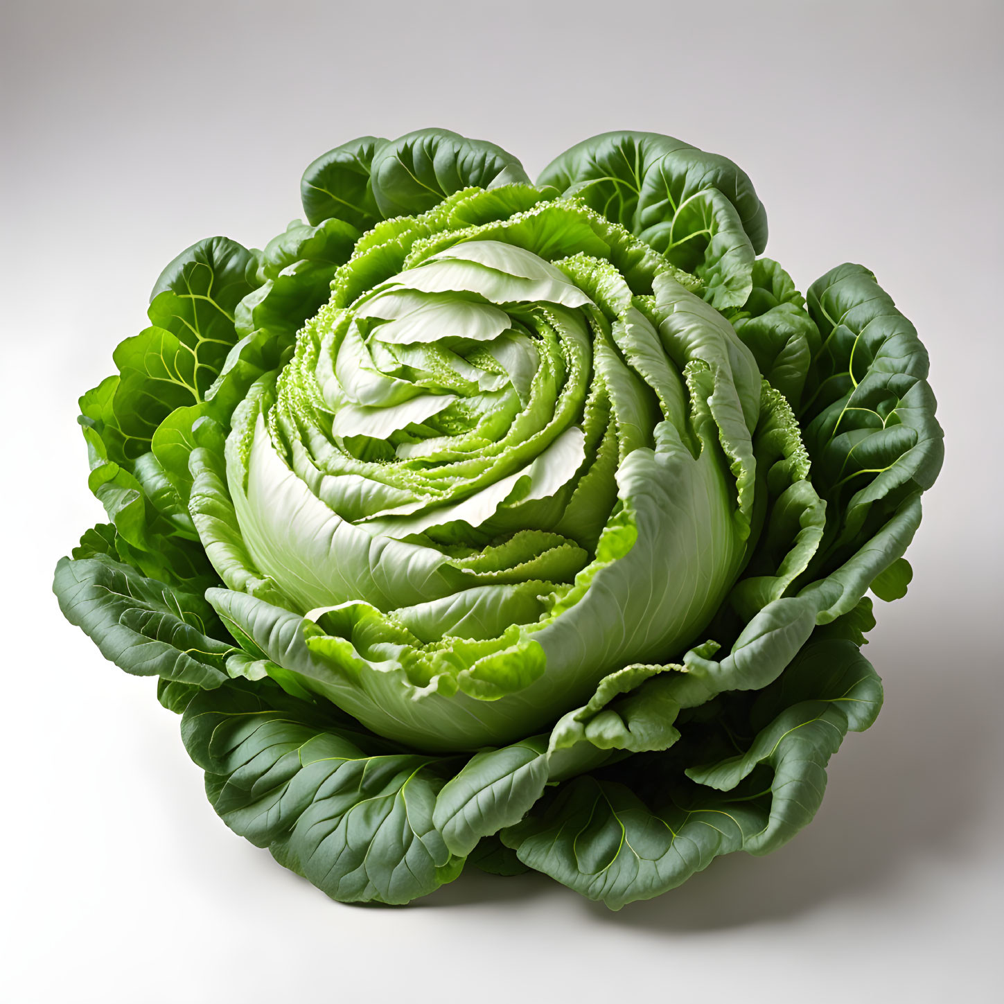 Fresh Green Lettuce with Tightly Layered Leaves