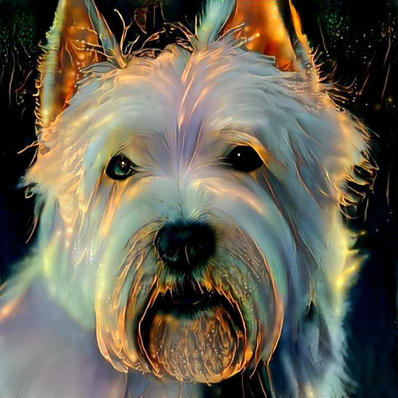 Westie