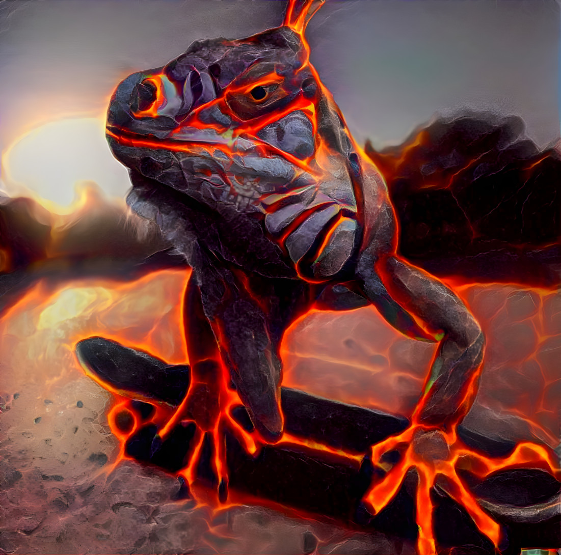 Lava Iguana