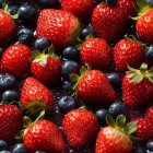 Fresh Strawberries and Blueberries Close-Up in Vibrant Colors