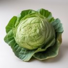 Fresh Green Lettuce with Tightly Layered Leaves