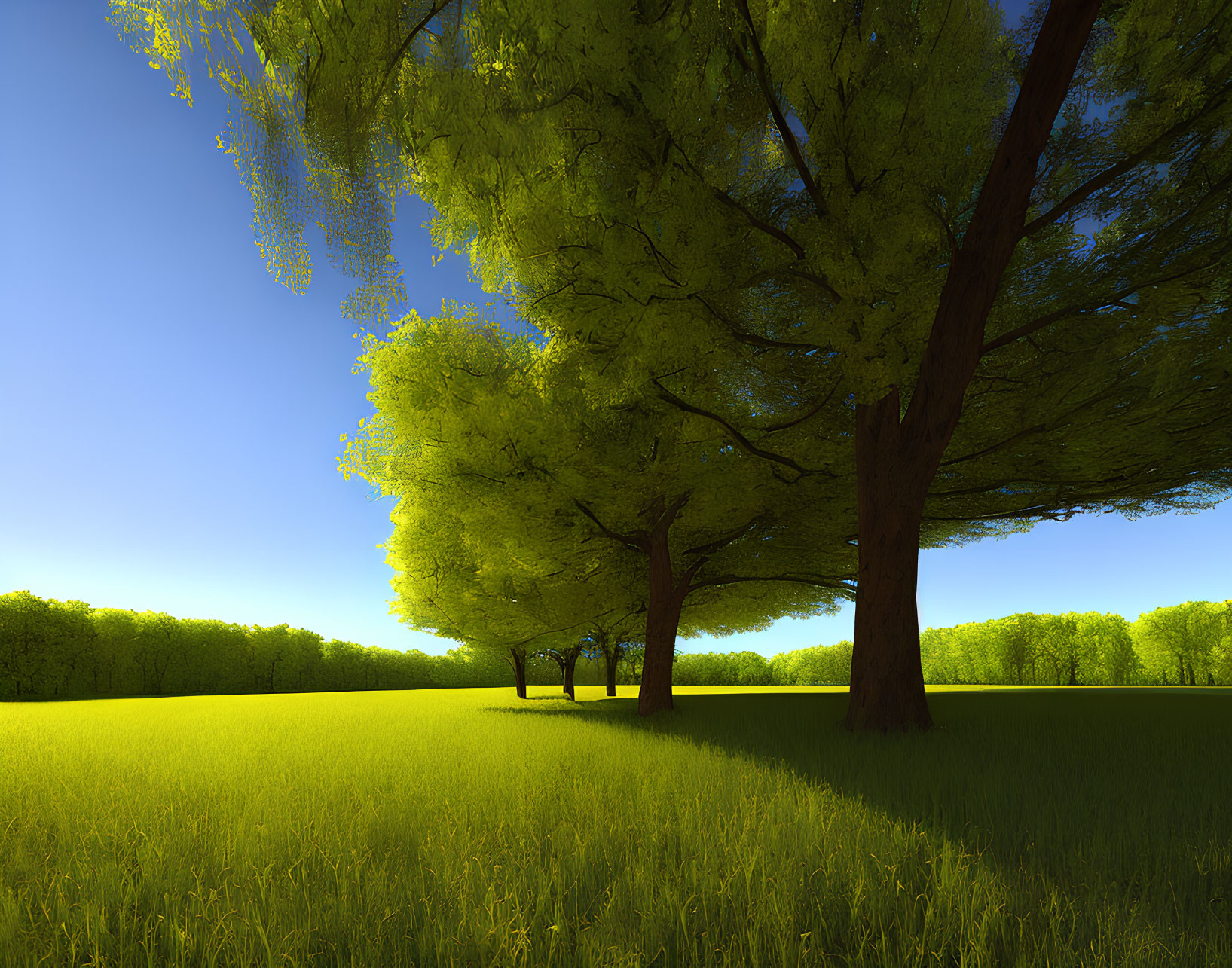 Tranquil landscape of lush green meadow and tall trees