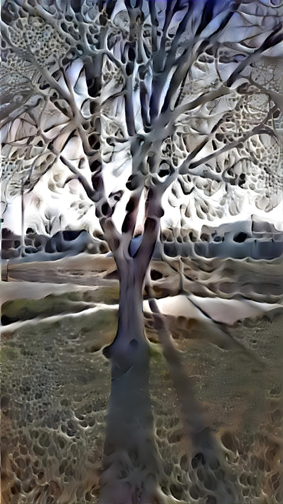 Skeletal Dendrology