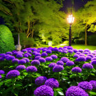 Vibrant nighttime garden with purple flowers, green shrubs, and colorful lights