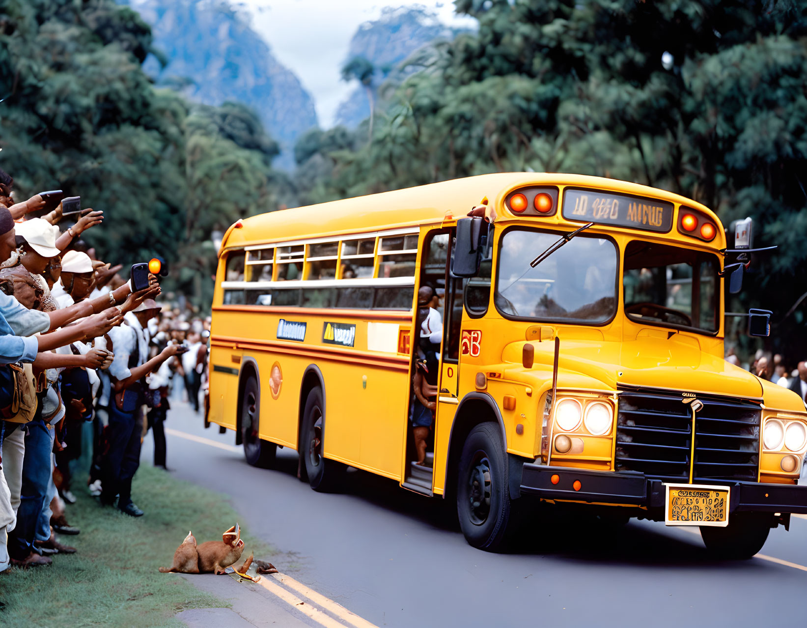 Yellow school bus passing with crowd cheering and taking photos, small dog in foreground.