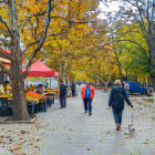 Colorful Autumnal Forest Painting with People Walking on Path