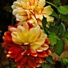 Digital painting featuring layered yellow and red flowers on dark background