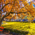 Tranquil autumn park with golden foliage, stream, and classic architecture