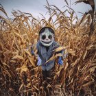 Scarecrow with painted skull face in cornfield with straw hat, under blue sky