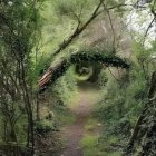 Vibrant giant eye in surreal forest landscape