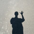 Silhouette of person reaching out to flock of birds with large bird nearby