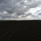 Monochromatic landscape with silhouette trees under dramatic sky